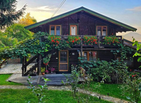 Cabana Bendis Râşnov